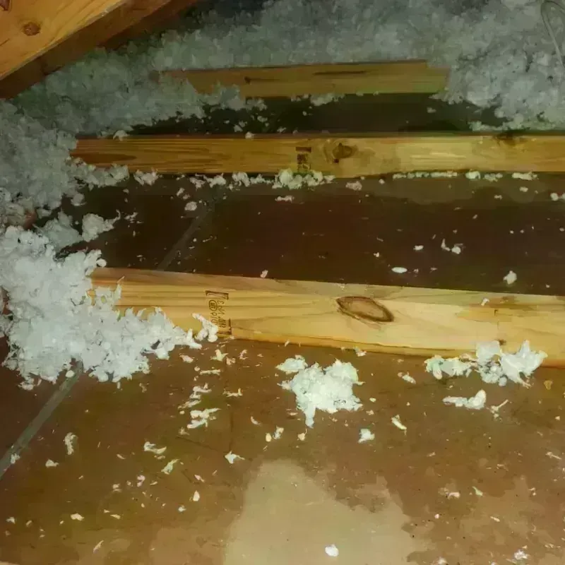 Attic Water Damage in Delphos, OH